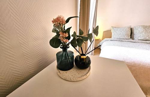 Studio Cosy- Hyper Centre Ville - Foto 5