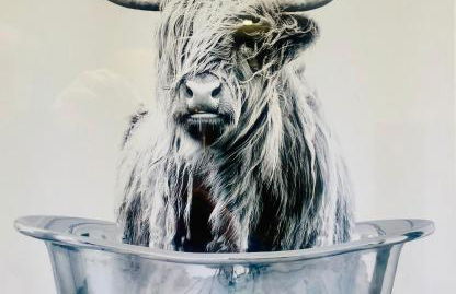 Fairview House - Foto 8