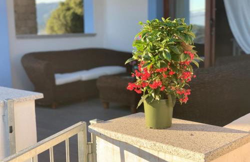 La Maison de la Mer - Photo 11