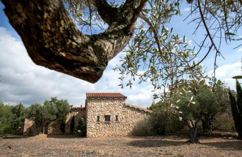 Finca Jabali - Foto 33