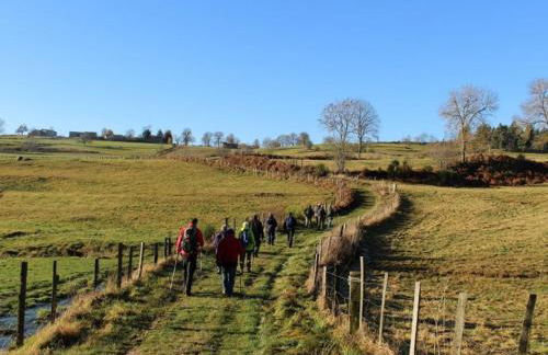 Chalet confortable avec cheminée et jardin, animaux acceptés - FR-1-496-164 - Foto 11