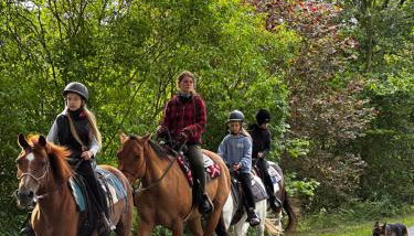 Domek nad Stawem - Foto 5