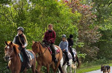 Domek nad Stawem - Foto 5