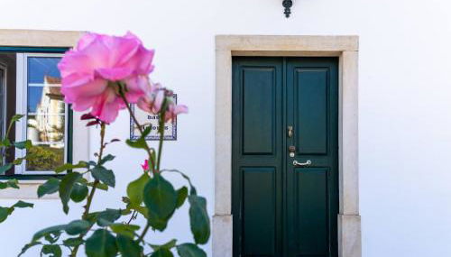 Quinta das Amoras - Au coeur des oliviers - Foto 5