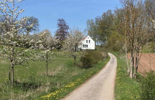 Boswachtershuis Goed Malberg - Foto 7