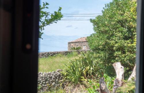 Casa Flor - Flower home - Foto 25