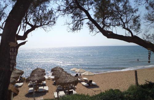 Comfy Kourouta Apartment & Suite - Foto 45