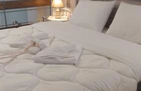 MiniLoft apartment - Foto 19