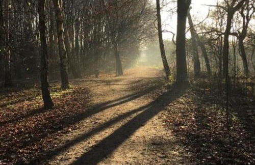 Chorlton Stylish Studio & Roof Terrace Apartments - Foto 28