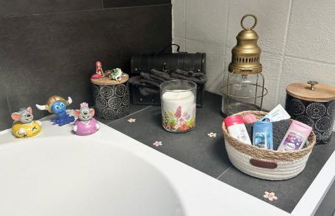 Le cocon de Marckolsheim proche Europapark - Foto 48