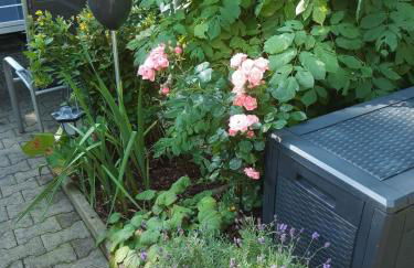 SeidelsFerienparadiesGahlenz - Foto 36