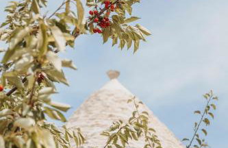Siede la Terra - Trullo con piscina - Foto 36
