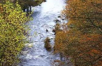 Fern Hse Grassington; central yet quiet & parking - Foto 19