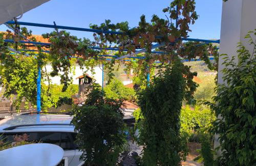 Mary's house - Photo 13