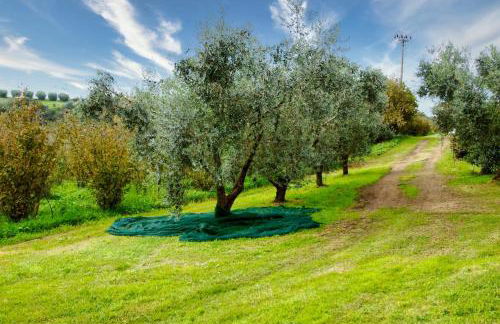 piccolo casale a "le Moline" in una vera fattoria - Foto 28