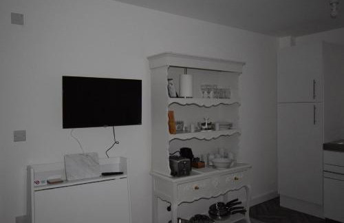 7 Plants Yard - Foto 12