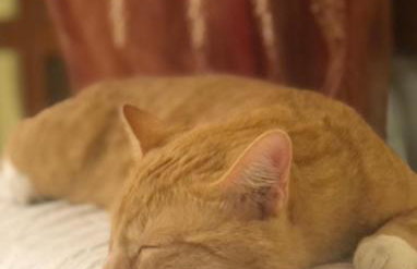 Casale Kintsugi - Foto 37