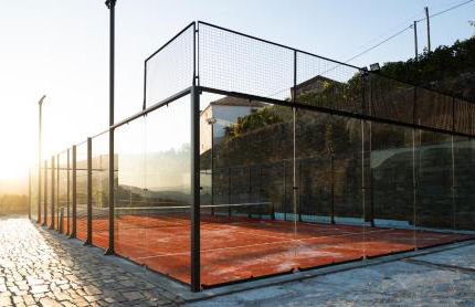 Cardenha do Douro - Photo 44