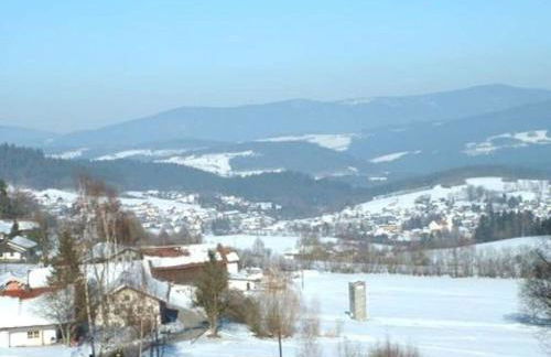 Family- friendly apartment in bavarian forest - Foto 24