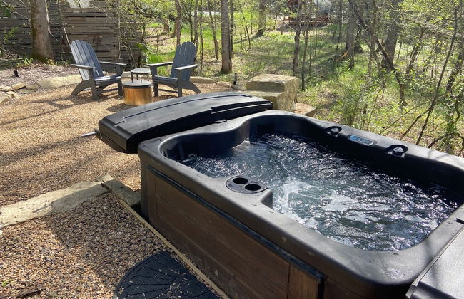 Silver Fern in Pisgah Forest - Foto 43