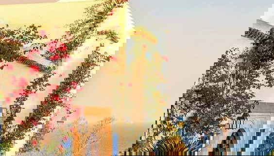 Make the most of your visit to Tunisia!