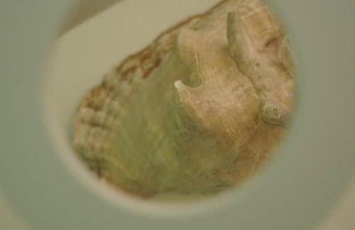 Relax nel Centro Storico - Foto 33