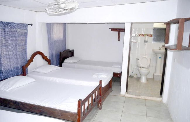 Las acacias Tolu - Foto 70