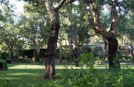 Agriturismo Le Sughere - Foto 44