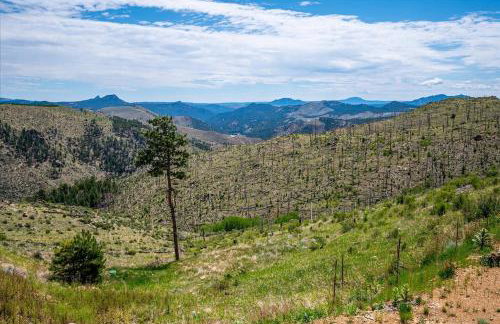 Hot Tub and Scenic Views at The Bailey Lodge - Foto 58