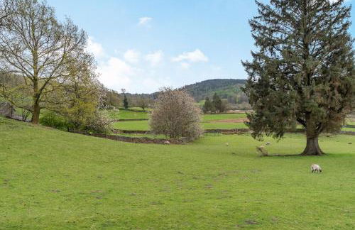 Ees Wyke Studio - Foto 25