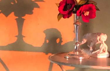 L’île aux fleurs - Foto 19