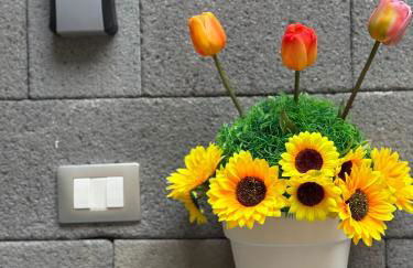 Chloe's House - Foto 24