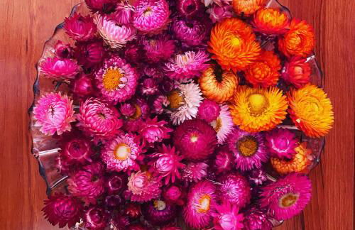 Casa Petroleiro - Foto 34