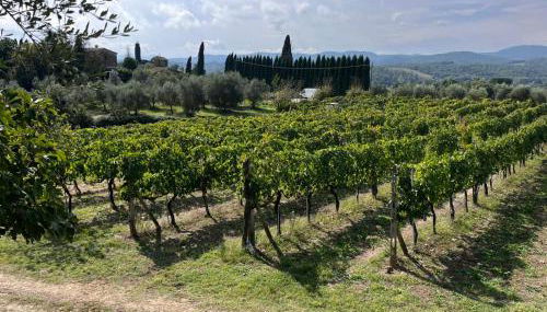 Podere Campanella - Photo 3