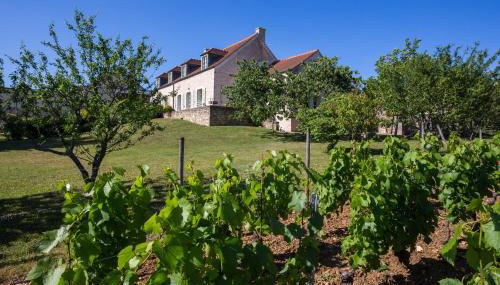 La Maison de Maître, la plus grande des 3 maisons du Clos d'Isand'Or - Foto 4, Garden