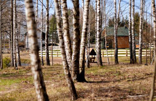 Apartamenty Białe Brzozy - Photo 60