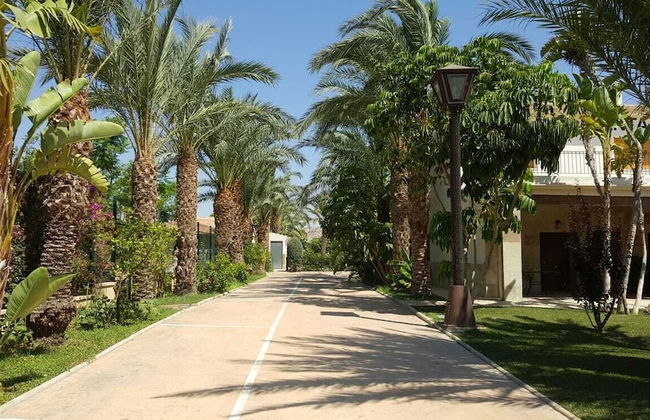 Finca Santa Barbara - Foto 28