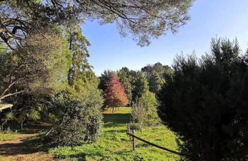 Pine Lodge - direct train to Porto - Foto 18