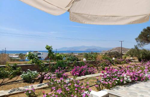 Dina's Diamond - Foto 50