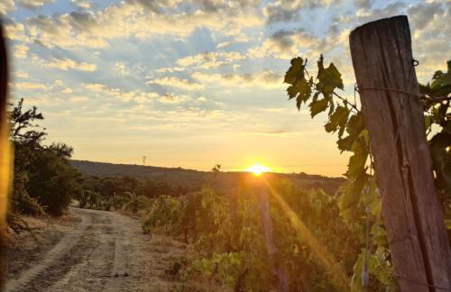 Casa Elisabetta - Foto 13