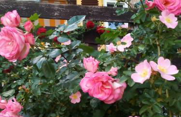 Ferienwohnung am Walnussbaum - Foto 26