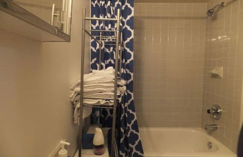 Renovated Downtown Condo in the HEART OF IT ALL - Foto 4