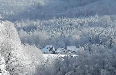 Auszeit Am Wildkatzenpfad - Photo 23