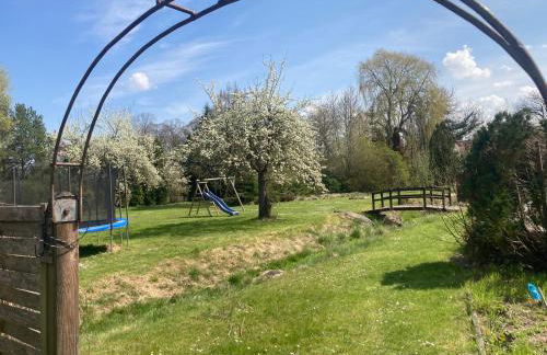 Familienfreundliche Unterkunft direkt am Nationalpark unteres Odertal - Photo 9