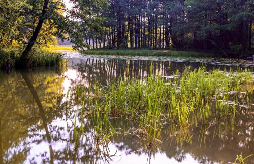Dom wakacyjny w Kiersztanowie Ładnie Tu - Foto 51