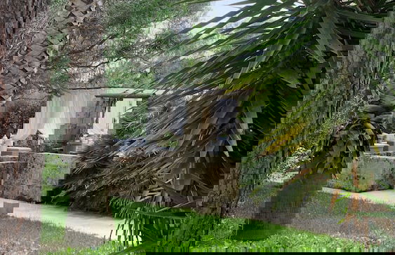 Tenuta Sidore - Photo 44