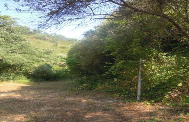 Quiet & Cottage in Estate Casas da Cerca near Troviscais - Foto 31