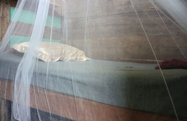 Bribri Ù sule - Foto 3