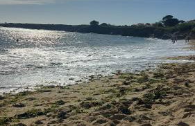 La Philatelle - Foto 14