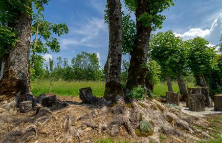 Kuća za odmor Feniks 3 - Foto 20